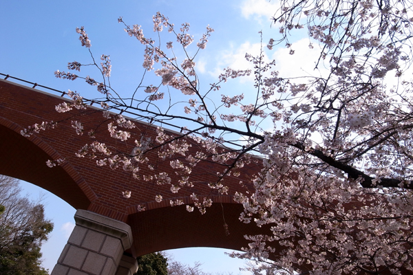 120406 17 RIMG2605.jpg